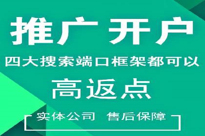 搜索引擎营销（SEM）成功运营的五大案例
